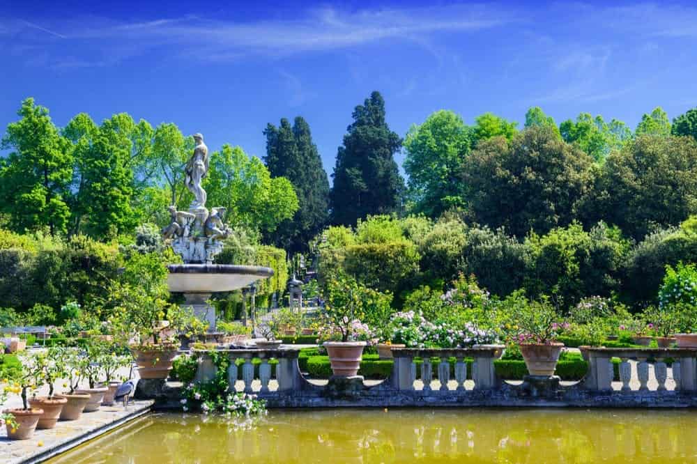 Elegant garden with fountain and blooming flowers
